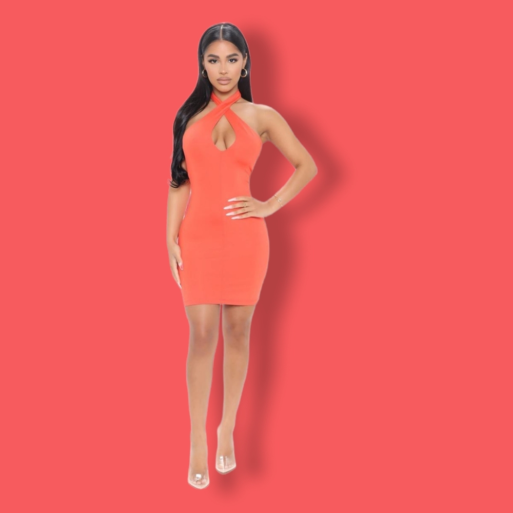Fashion Nova  Smooth Mini Dress